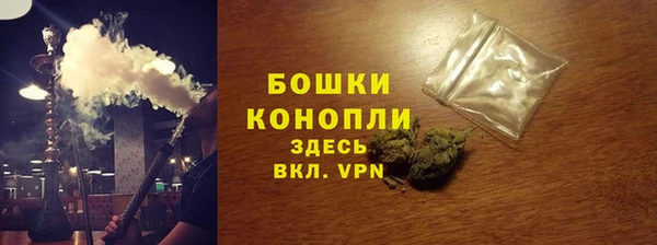дживик Белокуриха