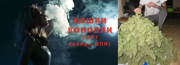 PSILOCYBIN Беломорск