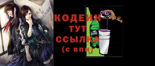 дживик Белокуриха