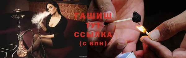 PSILOCYBIN Беломорск