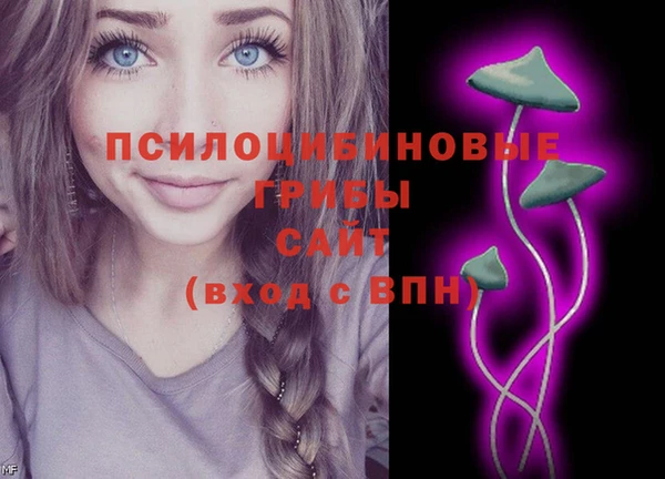 PSILOCYBIN Беломорск