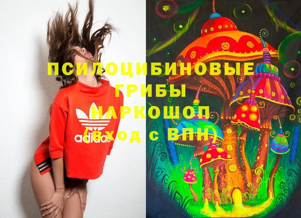 PSILOCYBIN Беломорск