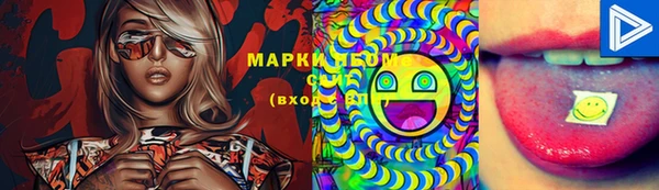 дживик Белокуриха
