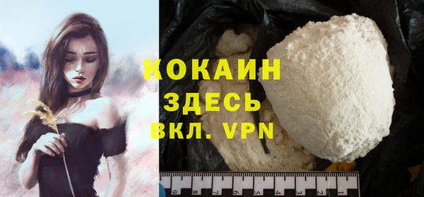 дживик Белокуриха