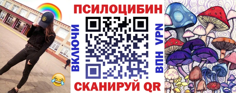 Купить где  Шилка  Псилоцибиновые грибы мухоморы 