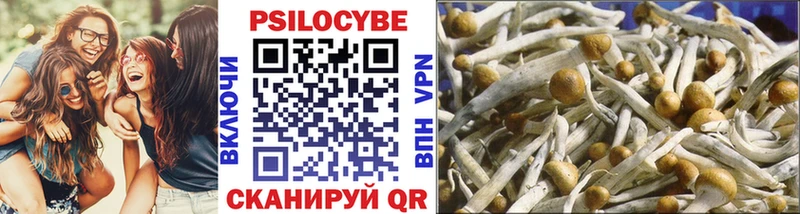 Псилоцибиновые грибы MAGIC MUSHROOMS Шилка